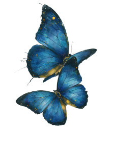 Blue Butterflies Tattoo Vinyl Car Decal Sticker – Waterproof & UV-Resistant 4.1066666666666665" Blue Butterflies Tattoo Vinyl Car Decal Sticker – Waterproof & UV-Resistant 4.1066666666666665"