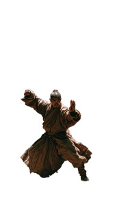 Shaolin Monk Motion Vinyl Car Decal Sticker – Waterproof & UV-Resistant 9.706666666666667"