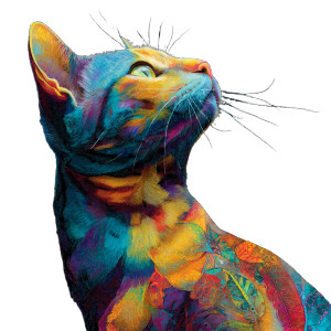 Colorvana Cat Vinyl Car Decal Sticker – Waterproof & UV-Resistant 6.826666666666667"