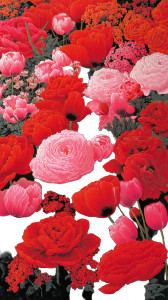 Floral Abundance Vinyl Car Decal Sticker – Waterproof & UV-Resistant 9.706666666666667"