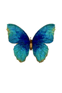 Art Nouveau Butterfly Vinyl Car Decal Sticker – Waterproof & UV-Resistant 8.96" Art Nouveau Butterfly Vinyl Car Decal Sticker – Waterproof & UV-Resistant 8.96"