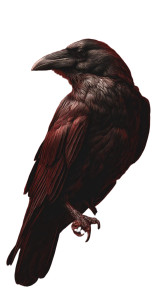 Mysterious Crow Vinyl Car Decal Sticker – Waterproof & UV-Resistant 9.706666666666667"