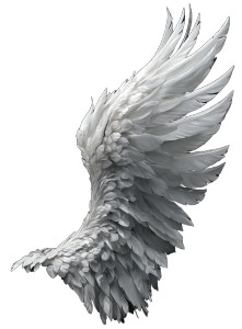 Angel Wings Vector Vinyl Car Decal Sticker – Waterproof & UV-Resistant 4.266666666666667" Angel Wings Vector Vinyl Car Decal Sticker – Waterproof & UV-Resistant 4.266666666666667"