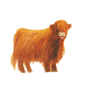 Highland Yak Illustration Vinyl Car Decal Sticker – Waterproof & UV-Resistant 6.826666666666667" Highland Yak Illustration Vinyl Car Decal Sticker – Waterproof & UV-Resistant 6.826666666666667"