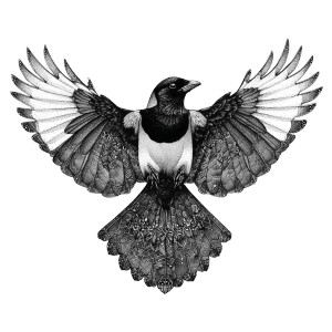 Magpie Ink Art Vinyl Car Decal Sticker – Waterproof & UV-Resistant 6.826666666666667"