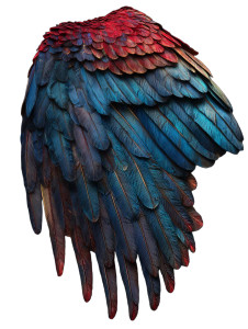 Vibrant Parrot Wings V3 Vinyl Car Decal Sticker – Waterproof & UV-Resistant 8.213333333333333"