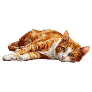 Ginger Cat Portrait Vinyl Car Decal Sticker – Waterproof & UV-Resistant 6.826666666666667"