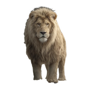 Fearsome Lion Vinyl Car Decal Sticker – Waterproof & UV-Resistant 3.4133333333333336"