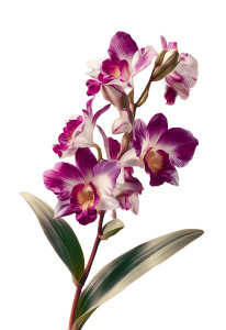 Wild Orchid Flower Vinyl Car Decal Sticker – Waterproof & UV-Resistant 4.426666666666667"
