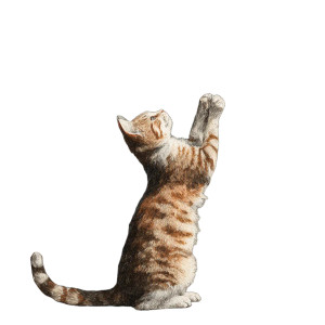 Tabby Cat Plays Vinyl Car Decal Sticker – Waterproof & UV-Resistant 3.4133333333333336" Tabby Cat Plays Vinyl Car Decal Sticker – Waterproof & UV-Resistant 3.4133333333333336"