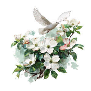 Dogwood Dove Flight Vinyl Car Decal Sticker – Waterproof & UV-Resistant 6.826666666666667" Dogwood Dove Flight Vinyl Car Decal Sticker – Waterproof & UV-Resistant 6.826666666666667"