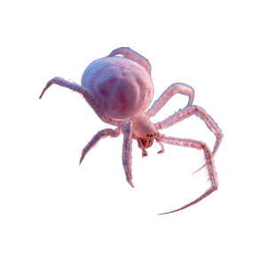 Candy Spider V2 Vinyl Car Decal Sticker – Waterproof & UV-Resistant 3.4133333333333336" Candy Spider V2 Vinyl Car Decal Sticker – Waterproof & UV-Resistant 3.4133333333333336"