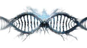 Genetic Horror Spider Vinyl Car Decal Sticker – Waterproof & UV-Resistant 2.72" Genetic Horror Spider Vinyl Car Decal Sticker – Waterproof & UV-Resistant 2.72"