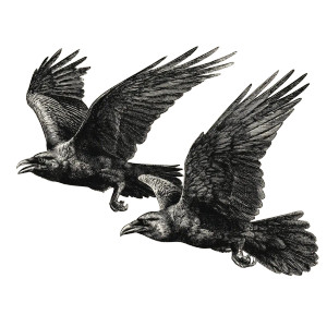 Ravens In Flight Vinyl Car Decal Sticker – Waterproof & UV-Resistant 3.4133333333333336"