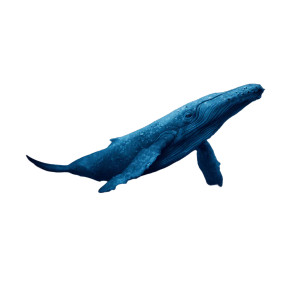 Deep Sea Whale V2 Vinyl Car Decal Sticker – Waterproof & UV-Resistant 3.4133333333333336"