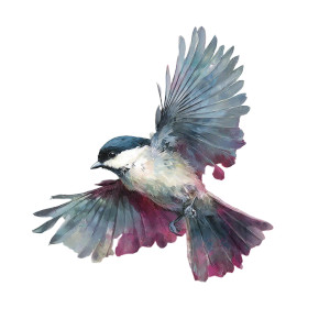 Colorful Bird Painting Vinyl Car Decal Sticker – Waterproof & UV-Resistant 3.4133333333333336" Colorful Bird Painting Vinyl Car Decal Sticker – Waterproof & UV-Resistant 3.4133333333333336"