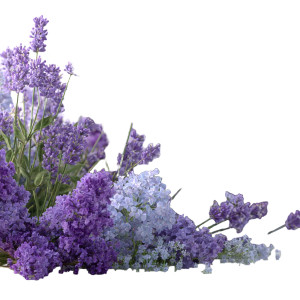 Purple Flower Cluster Vinyl Car Decal Sticker – Waterproof & UV-Resistant 3.4133333333333336"