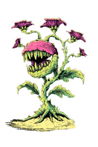 Carnivor Plant Vinyl Car Decal Sticker – Waterproof & UV-Resistant 4.4