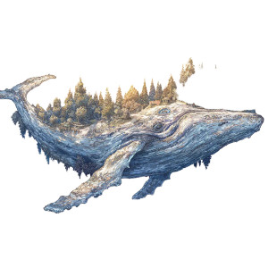 Sky Whale V6 Vinyl Car Decal Sticker – Waterproof & UV-Resistant 6.826666666666667"