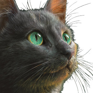 Cat V200 Vinyl Car Decal Sticker – Waterproof & UV-Resistant 6.826666666666667"