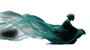 Virtual Ming Scholar V2 Vinyl Car Decal Sticker – Waterproof & UV-Resistant 5.4