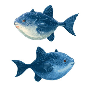 Whimsical Sunfish Duo Vinyl Car Decal Sticker – Waterproof & UV-Resistant 3.4133333333333336"