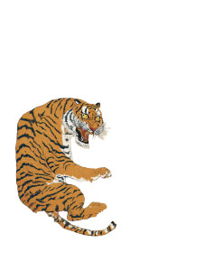 Tiger Vs Dragon Vinyl Car Decal Sticker – Waterproof & UV-Resistant 4.0" Tiger Vs Dragon Vinyl Car Decal Sticker – Waterproof & UV-Resistant 4.0"