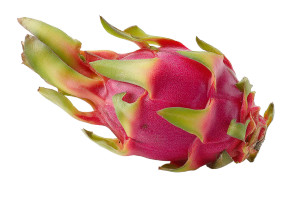 Dragon Fruit V3 Vinyl Car Decal Sticker – Waterproof & UV-Resistant 2.986666666666667" Dragon Fruit V3 Vinyl Car Decal Sticker – Waterproof & UV-Resistant 2.986666666666667"