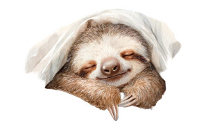 Baby Sloth Sleeping Vinyl Car Decal Sticker – Waterproof & UV-Resistant 2.986666666666667" Baby Sloth Sleeping Vinyl Car Decal Sticker – Waterproof & UV-Resistant 2.986666666666667"