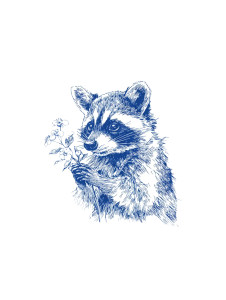 Cheeky Raccoon Vinyl Car Decal Sticker – Waterproof & UV-Resistant 8.213333333333333" Cheeky Raccoon Vinyl Car Decal Sticker – Waterproof & UV-Resistant 8.213333333333333"