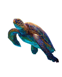 Majestic Sea Turtle V6 Vinyl Car Decal Sticker – Waterproof & UV-Resistant 8.0"