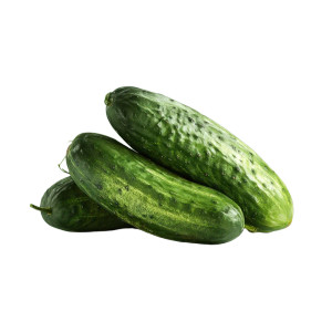 Fresh Cucumbers Vinyl Car Decal Sticker – Waterproof & UV-Resistant 3.4133333333333336"