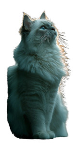 Blue Bicolor Ragdoll Cat Vinyl Car Decal Sticker – Waterproof & UV-Resistant 4.8533333333333335" Blue Bicolor Ragdoll Cat Vinyl Car Decal Sticker – Waterproof & UV-Resistant 4.8533333333333335"