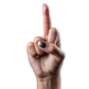 Defiant Gesture V2 Vinyl Car Decal Sticker – Waterproof & UV-Resistant 6.826666666666667"