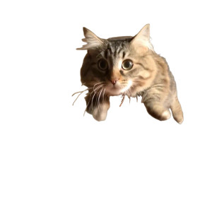 Jumping Cat V5 Vinyl Car Decal Sticker – Waterproof & UV-Resistant 3.4133333333333336"