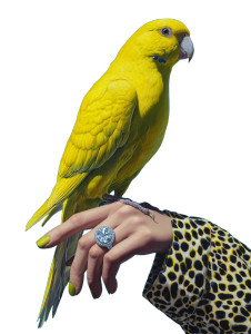 Yellow Parrot Ring Vinyl Car Decal Sticker – Waterproof & UV-Resistant 8.213333333333333" Yellow Parrot Ring Vinyl Car Decal Sticker – Waterproof & UV-Resistant 8.213333333333333"