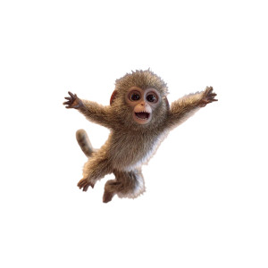 Jumping Monkey Vinyl Car Decal Sticker – Waterproof & UV-Resistant 6.826666666666667"