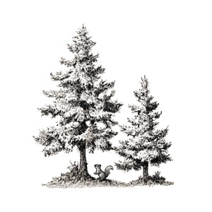 Pinetrees And Squirrel Vinyl Car Decal Sticker – Waterproof & UV-Resistant 6.826666666666667" Pinetrees And Squirrel Vinyl Car Decal Sticker – Waterproof & UV-Resistant 6.826666666666667"