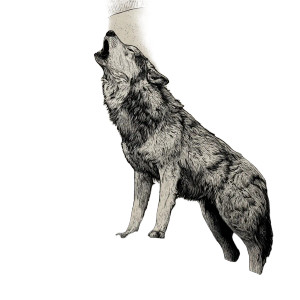 Growling Wolf Moon Vinyl Car Decal Sticker – Waterproof & UV-Resistant 3.4133333333333336" Growling Wolf Moon Vinyl Car Decal Sticker – Waterproof & UV-Resistant 3.4133333333333336"