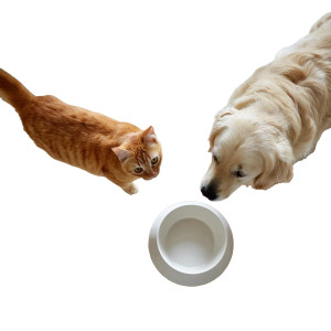 Pets At Bowl Vinyl Car Decal Sticker – Waterproof & UV-Resistant 3.4133333333333336"