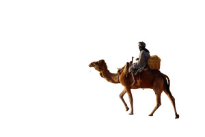 Desert Dromedary Journey V2 Vinyl Car Decal Sticker – Waterproof & UV-Resistant 5.97333333333333 Desert Dromedary Journey V2 Vinyl Car Decal Sticker – Waterproof & UV-Resistant 5.97333333333333