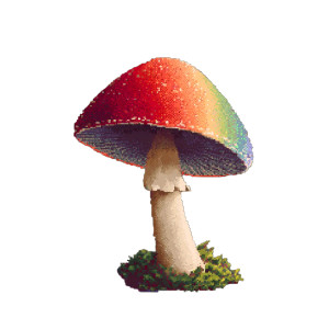 Fairy Toadstool Vinyl Car Decal Sticker – Waterproof & UV-Resistant 3.4133333333333336" Fairy Toadstool Vinyl Car Decal Sticker – Waterproof & UV-Resistant 3.4133333333333336"