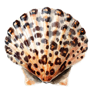Leopard Print Seashell Vinyl Car Decal Sticker – Waterproof & UV-Resistant 6.826666666666667"
