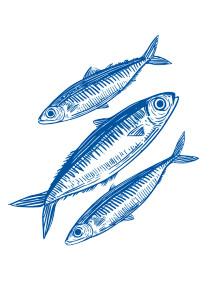 Stylized Sardines V2 Vinyl Car Decal Sticker – Waterproof & UV-Resistant 4.32"