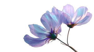 Delicate Glass Flowers Vinyl Car Decal Sticker – Waterproof & UV-Resistant 2.72"