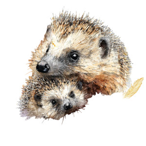 Tender Hedgehog Embrace Vinyl Car Decal Sticker – Waterproof & UV-Resistant 3.4133333333333336"
