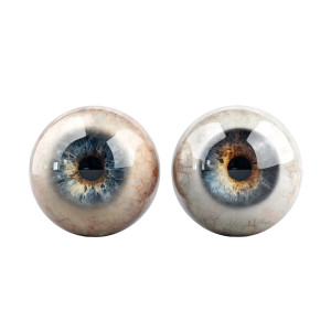 Human Eyeballs Vinyl Car Decal Sticker – Waterproof & UV-Resistant 3.4133333333333336" Human Eyeballs Vinyl Car Decal Sticker – Waterproof & UV-Resistant 3.4133333333333336"