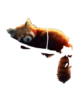 Golden Aura Panda Vinyl Car Decal Sticker – Waterproof & UV-Resistant 3.946666666666666 Golden Aura Panda Vinyl Car Decal Sticker – Waterproof & UV-Resistant 3.946666666666666