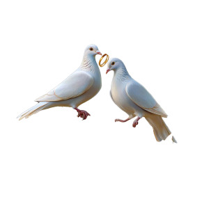 Loving Doves Wedding Vinyl Car Decal Sticker – Waterproof & UV-Resistant 3.4133333333333336"