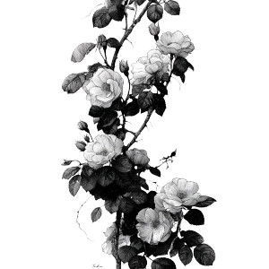 Roses Vine Vinyl Car Decal Sticker – Waterproof & UV-Resistant 6.826666666666667" Roses Vine Vinyl Car Decal Sticker – Waterproof & UV-Resistant 6.826666666666667"